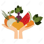 vegetales y frutas