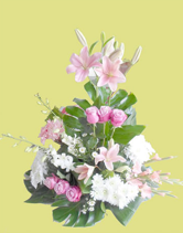 SINAI FLOWERS