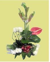 SINAI FLOWERS
