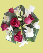 SINAI FLOWERS
