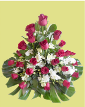 SINAI FLOWERS