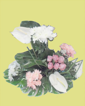 SINAI FLOWERS